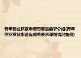青年创业贷款申请有哪些要求介绍(青年创业贷款申请有哪些要求详细情况如何)