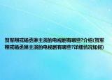 贺军翔或杨丞琳主演的电视剧有哪些?介绍(贺军翔或杨丞琳主演的电视剧有哪些?详细情况如何)