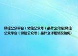 微信公众平台（微信公众号）是什么介绍(微信公众平台（微信公众号）是什么详细情况如何)