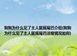 狗狗为什么见了主人就摇尾巴介绍(狗狗为什么见了主人就摇尾巴详细情况如何)