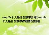 wap2-个人是什么意思介绍(wap2-个人是什么意思详细情况如何)