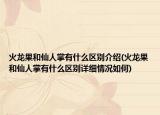 火龙果和仙人掌有什么区别介绍(火龙果和仙人掌有什么区别详细情况如何)