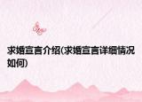 求婚宣言介绍(求婚宣言详细情况如何)