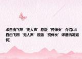 求自由飞翔‘无人声’原版‘纯伴奏’介绍(求自由飞翔‘无人声’原版‘纯伴奏’详细情况如何)