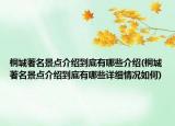桐城著名景点介绍到底有哪些介绍(桐城著名景点介绍到底有哪些详细情况如何)