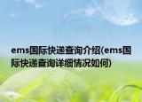 ems国际快递查询介绍(ems国际快递查询详细情况如何)