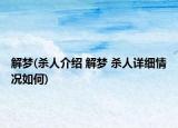 解梦(杀人介绍 解梦 杀人详细情况如何)