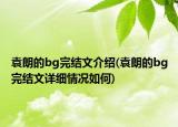 袁朗的bg完结文介绍(袁朗的bg完结文详细情况如何)