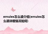 emulex怎么读介绍(emulex怎么读详细情况如何)