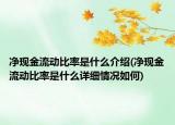净现金流动比率是什么介绍(净现金流动比率是什么详细情况如何)