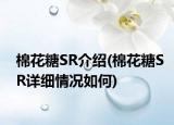 棉花糖SR介绍(棉花糖SR详细情况如何)