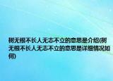 树无根不长人无志不立的意思是介绍(树无根不长人无志不立的意思是详细情况如何)
