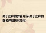 关于丝袜的群名介绍(关于丝袜的群名详细情况如何)