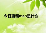今日更新msn是什么