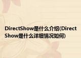 DirectShow是什么介绍(DirectShow是什么详细情况如何)