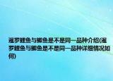 暹罗鲤鱼与鲫鱼是不是同一品种介绍(暹罗鲤鱼与鲫鱼是不是同一品种详细情况如何)
