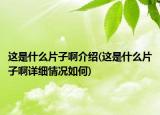 这是什么片子啊介绍(这是什么片子啊详细情况如何)