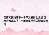包青天青龙珠下一个单元是什么介绍 包青天青龙珠下一个单元是什么详细情况如何