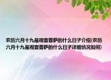 农历六月十九是观音菩萨的什么日子介绍(农历六月十九是观音菩萨的什么日子详细情况如何)
