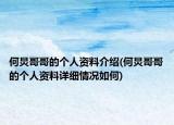 何炅哥哥的个人资料介绍(何炅哥哥的个人资料详细情况如何)