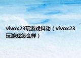 vivox23玩游戏抖动（vivox23玩游戏怎么样）