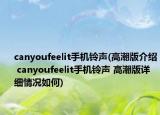 canyoufeelit手机铃声(高潮版介绍 canyoufeelit手机铃声 高潮版详细情况如何)