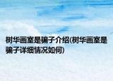 树华画室是骗子介绍(树华画室是骗子详细情况如何)