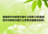 独浪排空中的排空是什么意思介绍(独浪排空中的排空是什么意思详细情况如何)