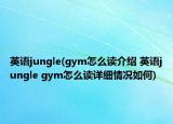 英语jungle(gym怎么读介绍 英语jungle gym怎么读详细情况如何)
