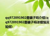 qq972091902是骗子吗介绍(qq972091902是骗子吗详细情况如何)