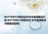 BUTTERFLY和田光司(中文音译歌词介绍 BUTTERFLY和田光司 中文音译歌词详细情况如何)