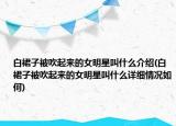 白裙子被吹起来的女明星叫什么介绍(白裙子被吹起来的女明星叫什么详细情况如何)