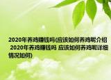 2020年养鸡赚钱吗(应该如何养鸡呢介绍 2020年养鸡赚钱吗 应该如何养鸡呢详细情况如何)