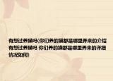 有想过养猫吗(你们养的猫都是哪里弄来的介绍 有想过养猫吗 你们养的猫都是哪里弄来的详细情况如何)