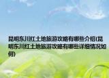 昆明东川红土地旅游攻略有哪些介绍(昆明东川红土地旅游攻略有哪些详细情况如何)