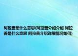 阿拉善是什么意思(阿拉善介绍介绍 阿拉善是什么意思 阿拉善介绍详细情况如何)