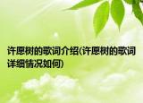 许愿树的歌词介绍(许愿树的歌词详细情况如何)