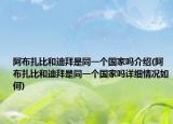 阿布扎比和迪拜是同一个国家吗介绍(阿布扎比和迪拜是同一个国家吗详细情况如何)