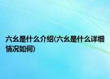 六幺是什么介绍(六幺是什么详细情况如何)