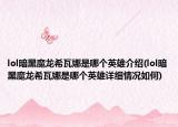 lol暗黑魔龙希瓦娜是哪个英雄介绍(lol暗黑魔龙希瓦娜是哪个英雄详细情况如何)