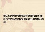 重庆方言的电视剧搞笑的叫啥名介绍(重庆方言的电视剧搞笑的叫啥名详细情况如何)