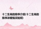 十二生肖的排序介绍(十二生肖的排序详细情况如何)