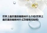 世界上最厉害的蜘蛛叫什么介绍(世界上最厉害的蜘蛛叫什么详细情况如何)
