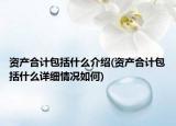 资产合计包括什么介绍(资产合计包括什么详细情况如何)