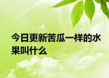 今日更新苦瓜一样的水果叫什么