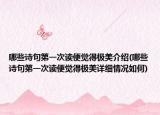 哪些诗句第一次读便觉得极美介绍(哪些诗句第一次读便觉得极美详细情况如何)