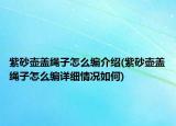 紫砂壶盖绳子怎么编介绍(紫砂壶盖绳子怎么编详细情况如何)