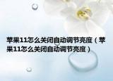 苹果11怎么关闭自动调节亮度（苹果11怎么关闭自动调节亮度）