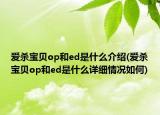 爱杀宝贝op和ed是什么介绍(爱杀宝贝op和ed是什么详细情况如何)