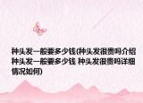 种头发一般要多少钱(种头发很贵吗介绍 种头发一般要多少钱 种头发很贵吗详细情况如何)